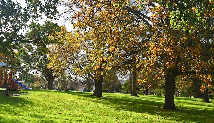 A photograph of a park with lush green lawn and autumnal trees