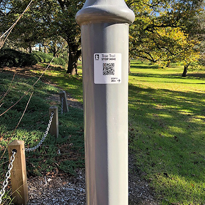A photograph of a QR Code on a pole in the park